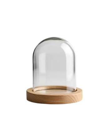 Glass cloche on wooden base...