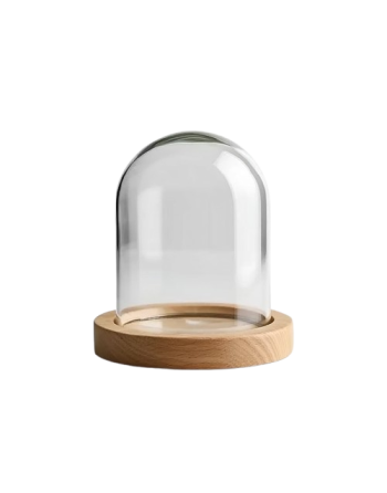 Glass cloche on wooden base...
