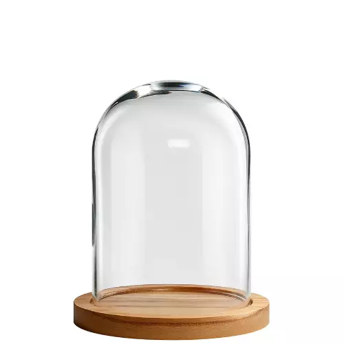 cloche en verre pour professionnel de la restauration