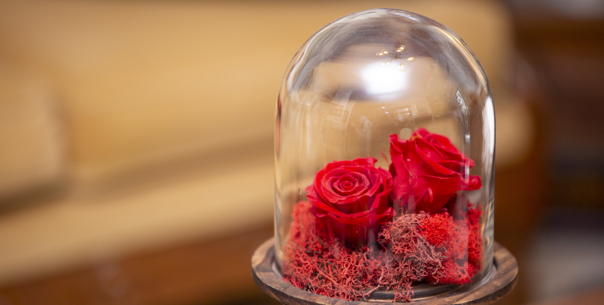Cloches en verre : l'accessoire parfait pour sublimer décorations et fleurs